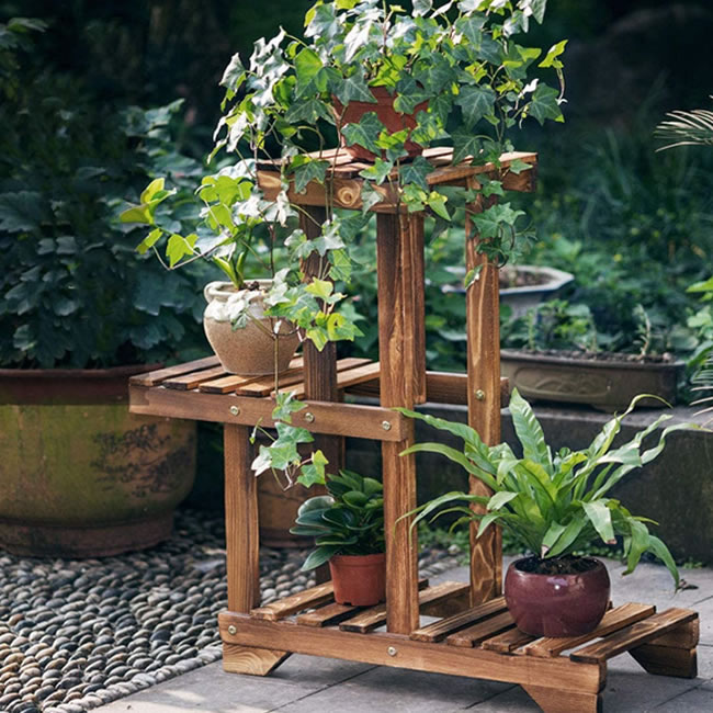 expositor para plantas 20 2