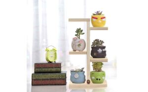 Floreira de chão Suporte para suculentas flores e plantas 05