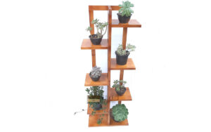 Estante de plantas Modelo 83 cor Imbuia