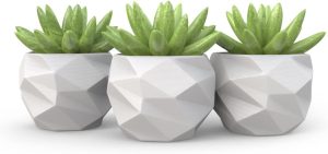 3 Vasos Cachepot Suculenta Ervas Flor Decora Mesh Mini Pp58 1 3 Vasos Cachepot Suculenta Ervas Flor Decora Mesh Mini Pp58