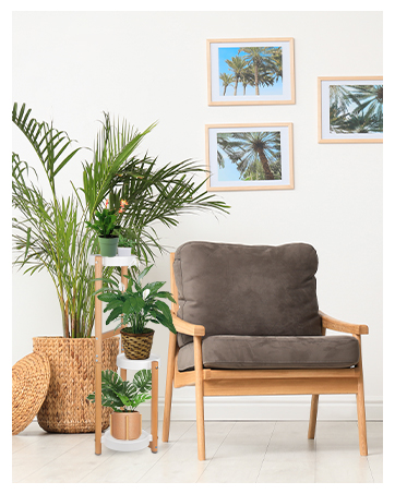 suporte para plantas