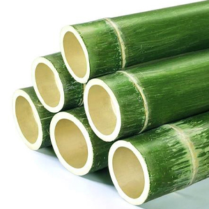 bambu