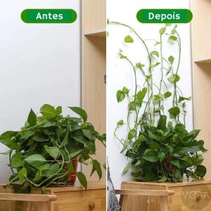 Gancho Autoadesivo Parede Fixação Planta Trepadeira Kit C/ 10