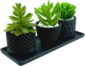 3 Vasinhos Decorativos com Mini suculenta Artificial + bandeja moderno (Preto)