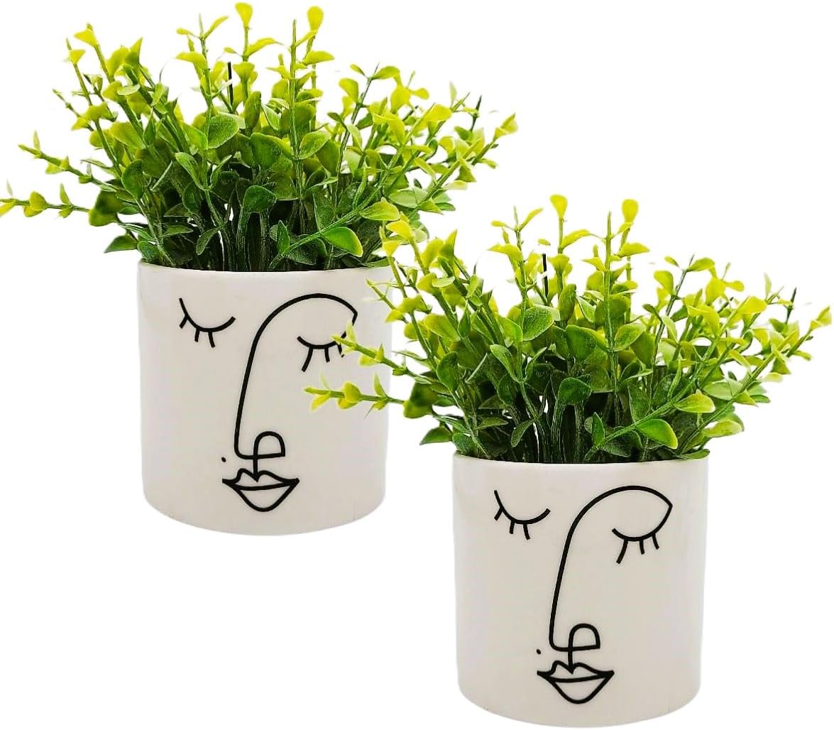 Dupla Vasinho Suculenta Realista Design Moderno 1 Dupla Vasinho Suculenta Realista Design Moderno