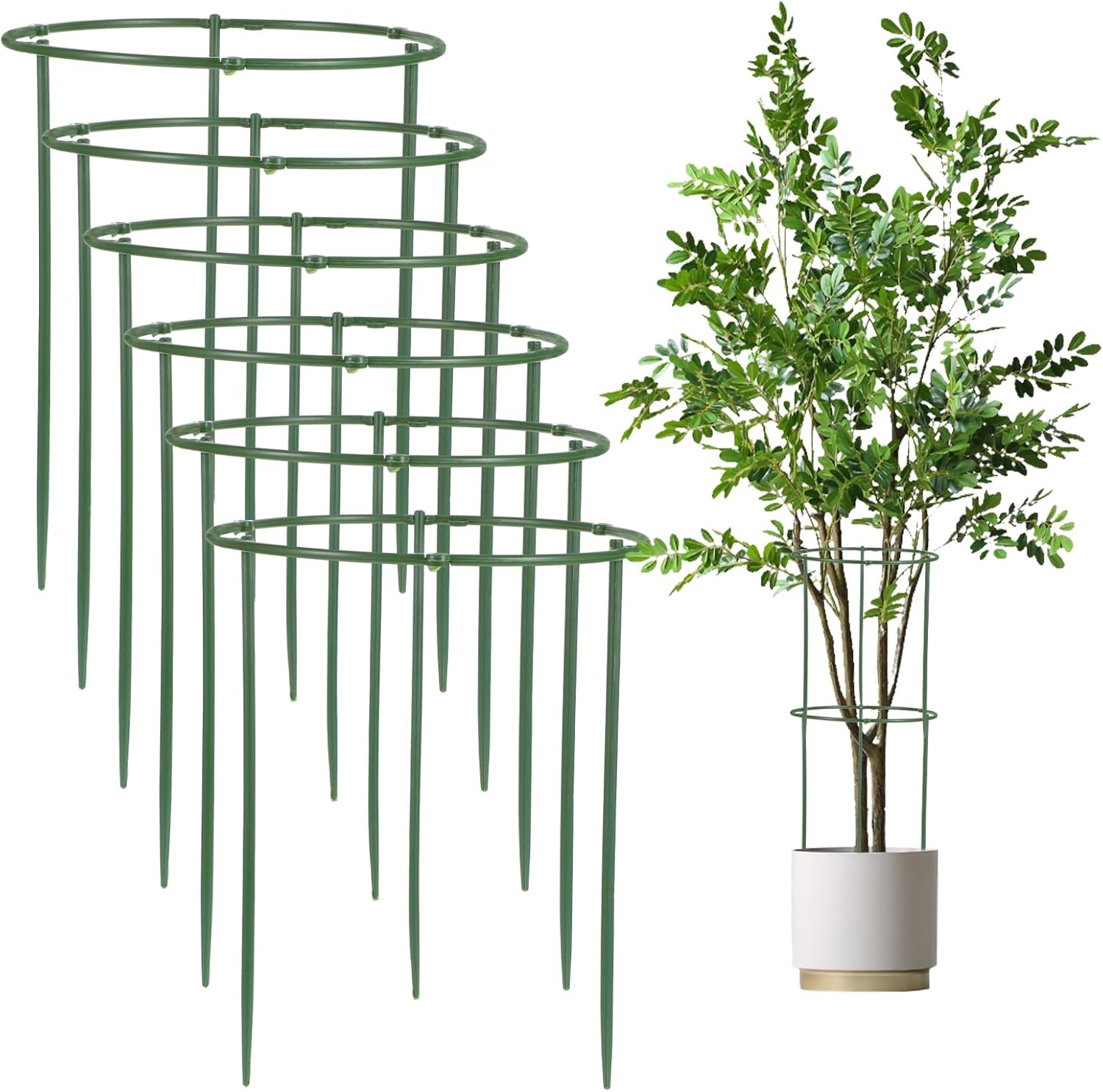 Gjinxi 36 peças de estacas de suporte de plantas estacas de plantas semi-redondas, suporte empilhável de flores de jardim de 6 níveis, gaiola para plantas de interior para tomate, monstera, peônia, 1 Gjinxi 36 pecas de estacas de suporte de plantas estacas
