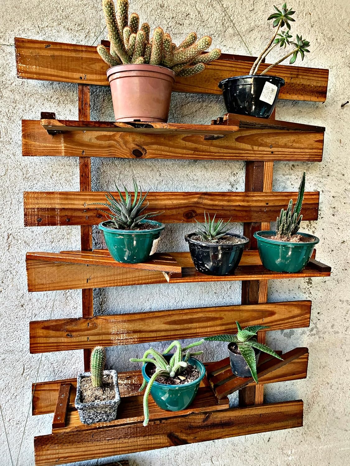 Jardineira Vertical para Vazos de Planta e suculentas 1 Jardineira Vertical para Vazos de Planta e suculentas