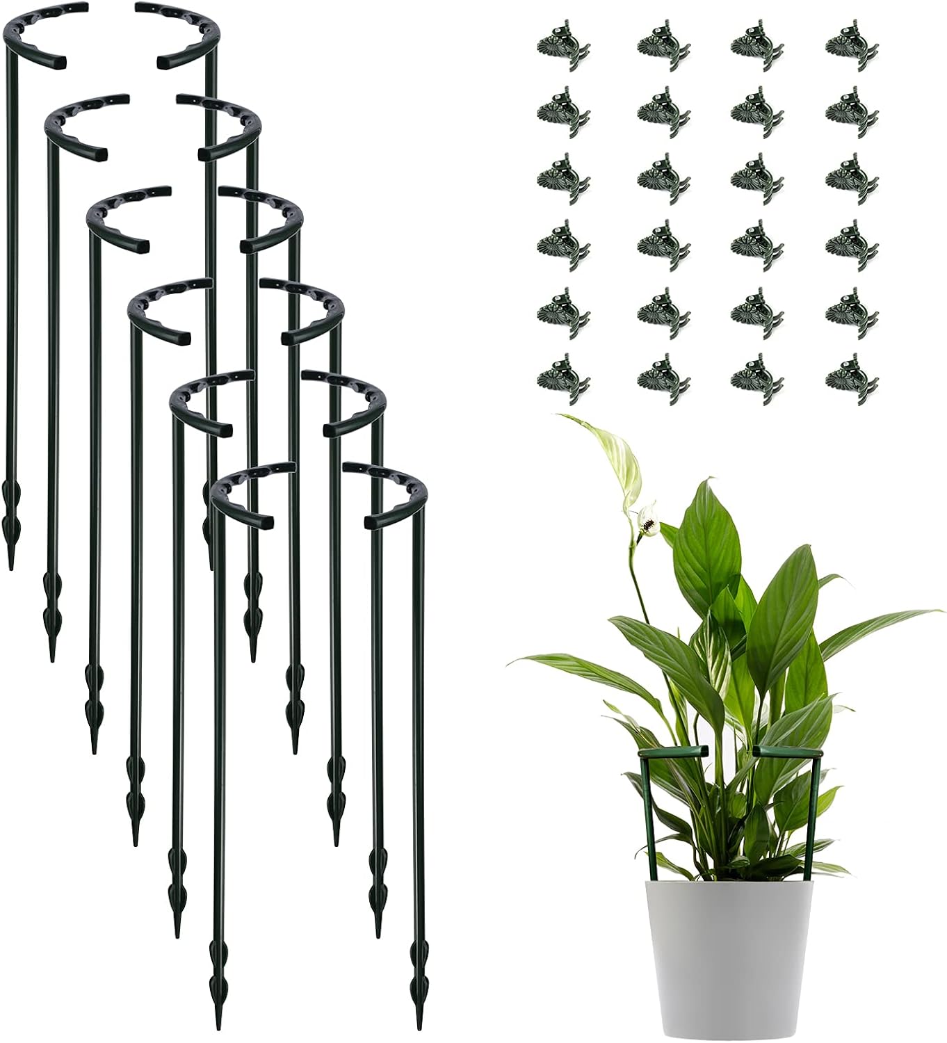 Pacote com 12 estacas de suporte de plantas com 24 clipes, meio anel redondo suporte de gaiola de plástico treliça de escalada para vasos de flores para pequenos vegetais, plantas de interior 1 Pacote com 12 estacas de suporte de plantas com 24