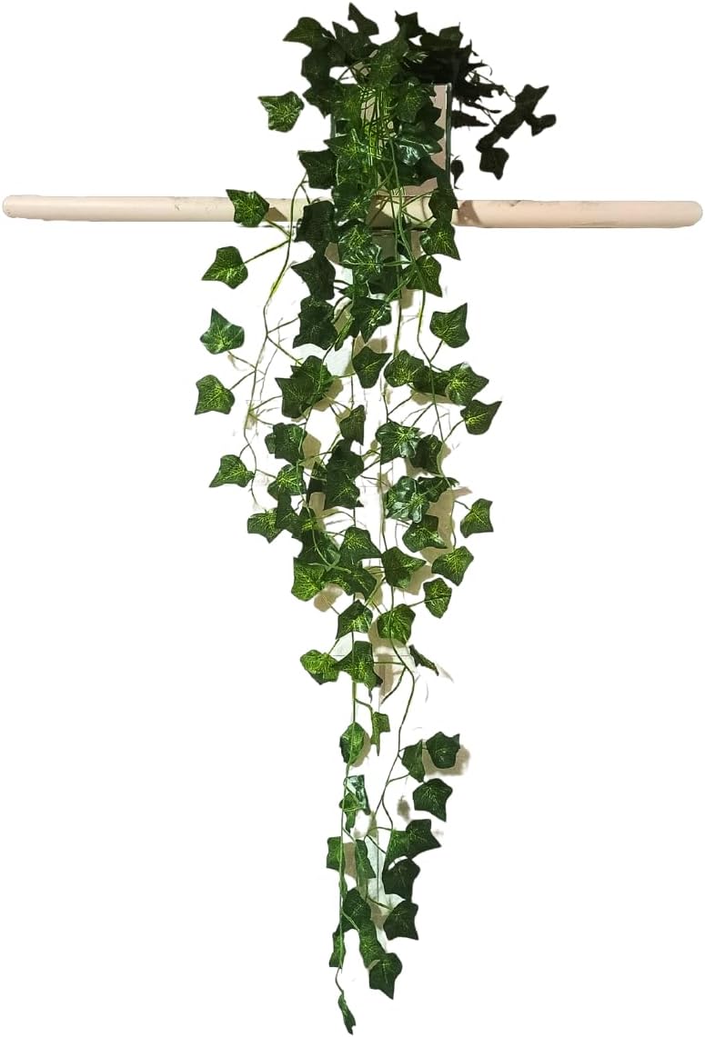 Planta Pendente Folhas de Heras Prateleira com Vaso Quadrado de