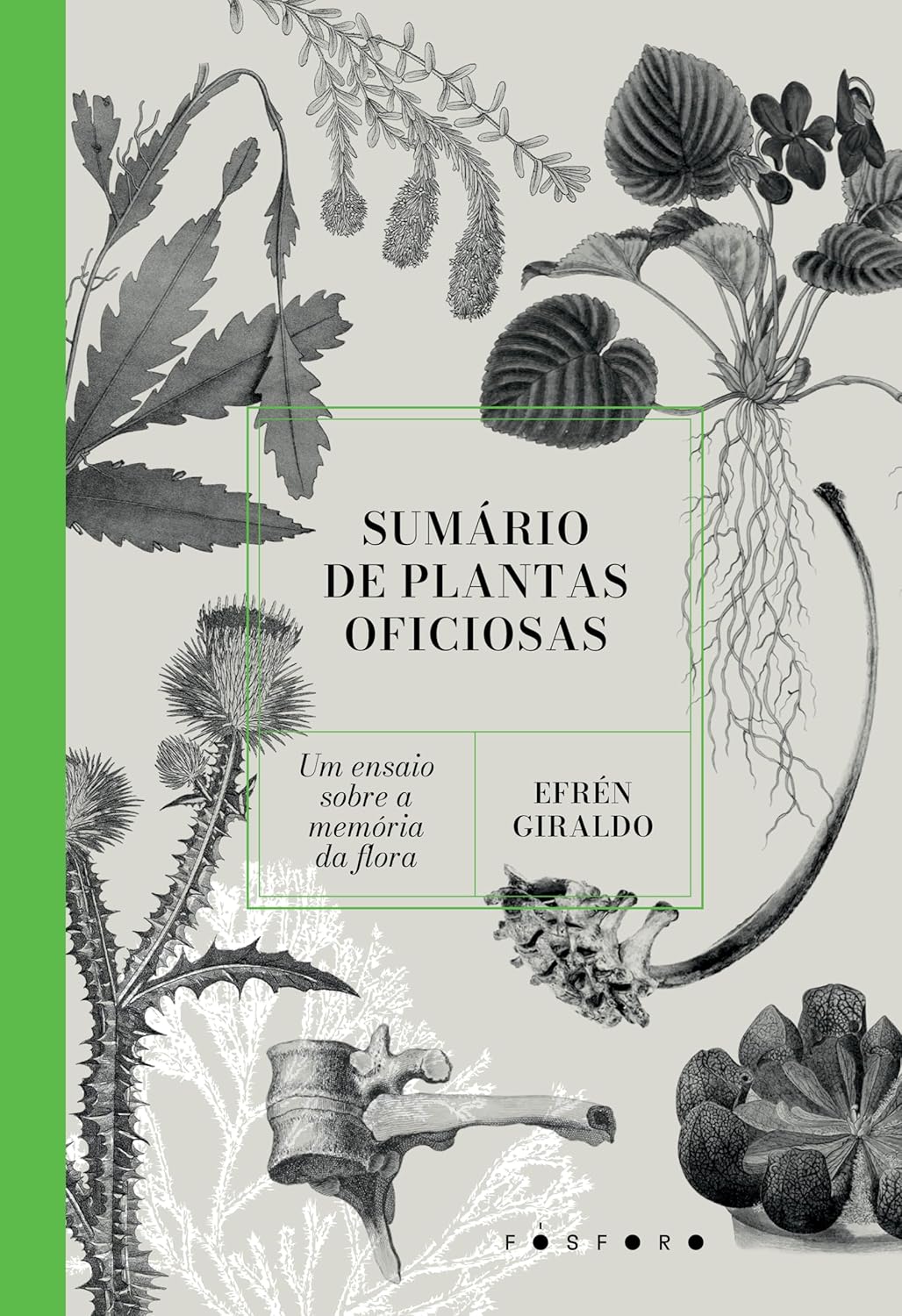 Sumário de plantas oficiosas: um ensaio sobre a memória da flora 1 Sumario de plantas oficiosas um ensaio sobre a memoria da