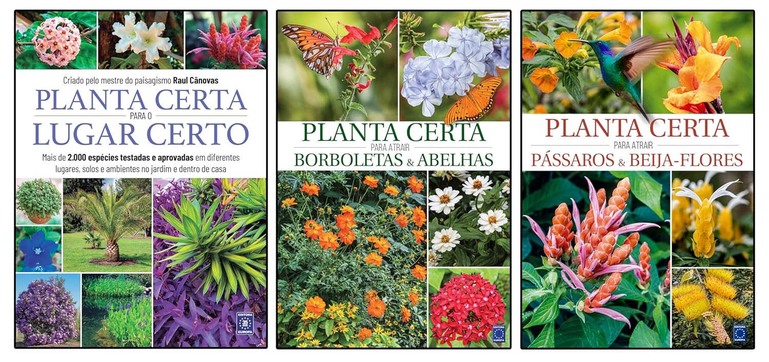 Super Kit - Planta Certa Para o Lugar Certo 1 Super Kit Planta Certa Para o Lugar Certo