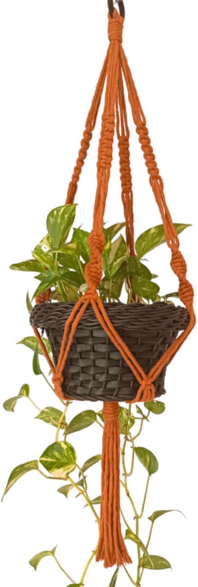 Suporte Corda Para Pendurar Vasos de Plantas 70 cm Telha Arte Macrame 1 Suporte Corda Para Pendurar Vasos de Plantas 70 cm Telha
