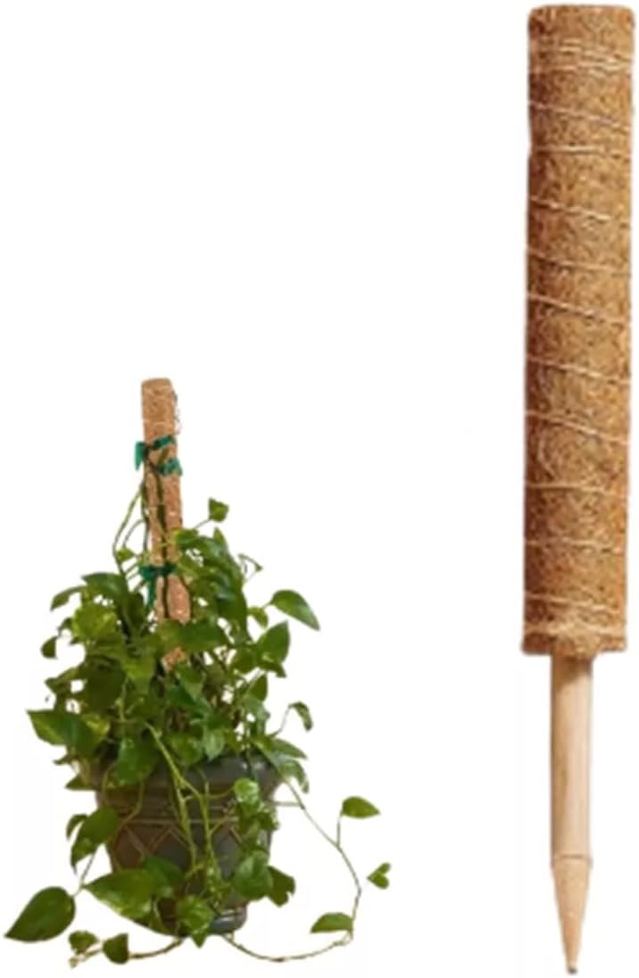 Tutor Fixo de Fibra de Coco para Plantas 100cm Top Garden 1 Tutor Fixo de Fibra de Coco para Plantas 100cm Top