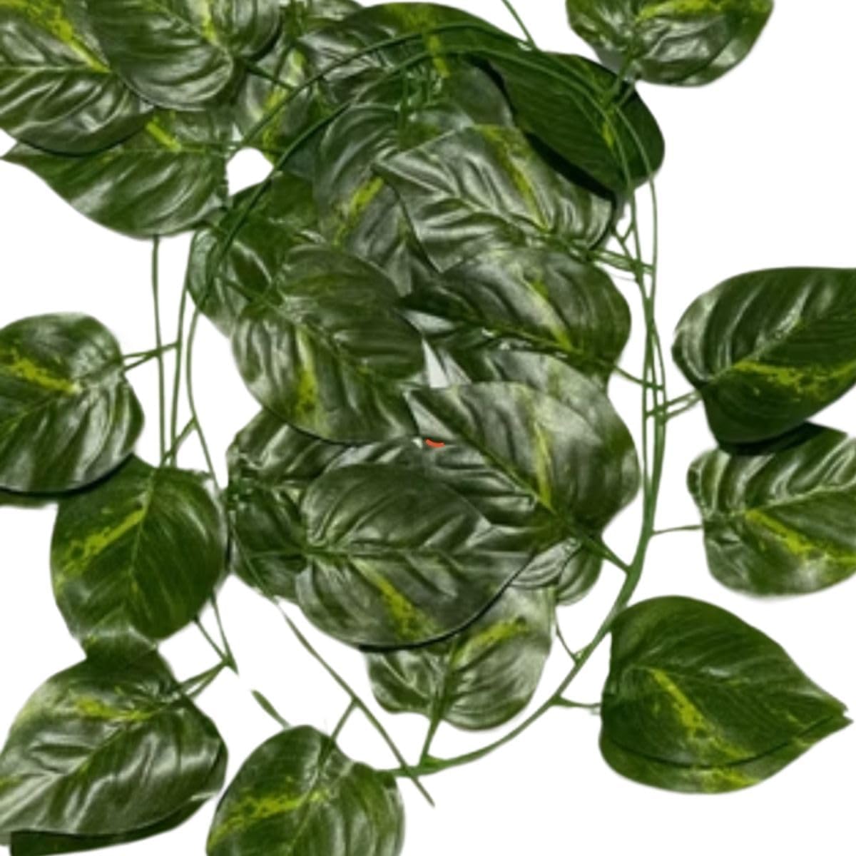Up2u Decor - Kit 20 Metros de Plantas Artificiais Jiboia, Jiboia Melancia e Hera - Jiboia 1 Up2u Decor Kit 20 Metros de Plantas Artificiais Jiboia