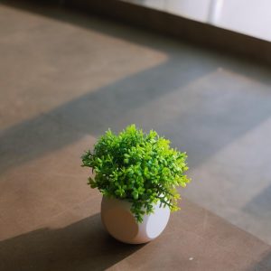 Vaso Cachepô Geométrico para Suculentas, Cactos e Plantas Pequenas, Ideal para Decoração de Mesas, Estantes e Racks (2)