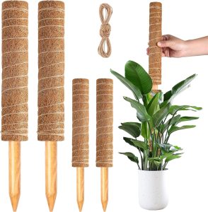 Pacote com 4 mastros de musgo, postes empilháveis de musgo para plantas trepadeiras Monstera, cresça para cima com vara de musgo de corda de juta. Estacas de suporte de plantas de coco para vasos de