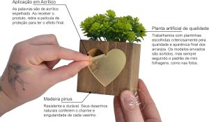 Kit 2 Vasinhos Decorativos de Madeira com Plantas Artificiais Inclusas - Frase Espelhada Seja Luz (Dourado)