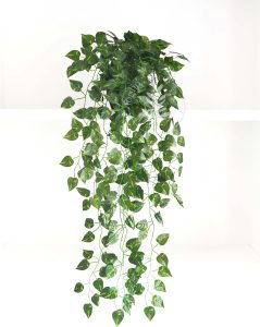 Arranjo de Jiboia Artificial com Vaso Preto Incluso - Planta Artificial Caída para Prateleira