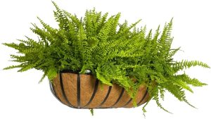 Vaso Jardineira de Fibra de Coco de Parede com Suporte 60cm