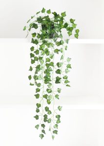 Arranjo de Hera Artificial com Vaso Preto Incluso Tamanho P - Planta Artificial Caída para Prateleira 1 Arranjo de Hera Artificial com Vaso Preto Incluso Tamanho P - Planta Artificial Caída para Prateleira