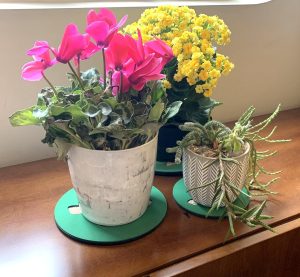 03 TAPETINHOS ABSORVENTES PARA VASOS DE PLANTAS (20 cm diâmetro, verde)