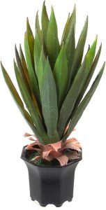Planta Box Wood Artificial de Etna Verde 51cm