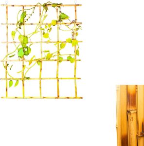 Suporte De Bambu Para Planta Folhagem Trepadeira Tutor 80cm Com Pendurador 90x80cm