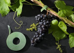 OFC Laços de plantas, fita de jardim para plantas, suporte reutilizável ajustável mais espesso para crescimento, aderência forte, vinhas de tomate para ambientes internos e externos (5 m x 1 cm verde)