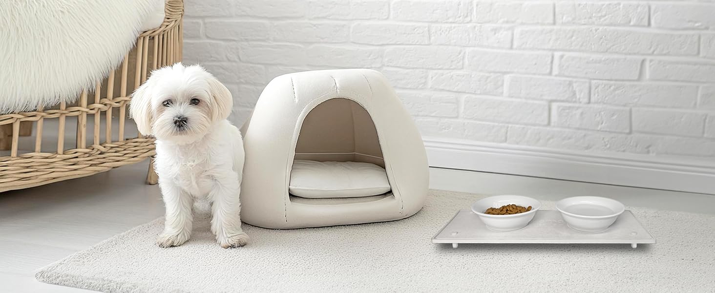 dryrack suporte comedouro elevado pet cachorro gato