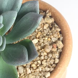 3 peças de plantas suculentas artificiais em vasos de plantas suculentas falsas