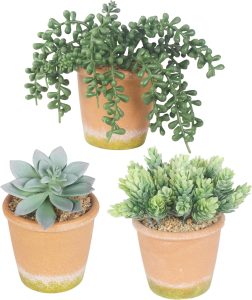 COTSEN 3 peças de plantas suculentas artificiais em vaso, plantas suculentas falsas em vasos, plantas em vaso falso, decoração de estante de livros