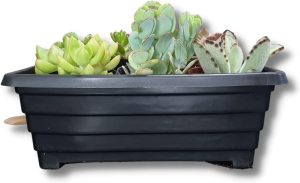 Vaso Floreira para Plantas Flores Jardineira para Horta (20cm, Preto)