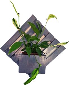 Floreira de Madeira Com Cachepot Jardim Vertical Vaso Para Planta