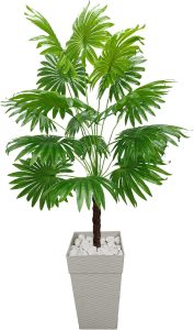 Planta Artificial Palmeira Leque Coqueiro Vaso Ratan Grande Decoração (Branco Marmorizado)