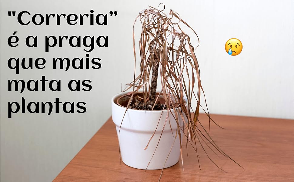 "correria" é a praga que mais mata as plantas