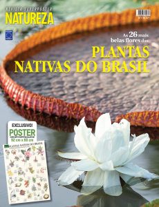 Plantas Nativas do Brasil - Superpôster: Revista Superpôster