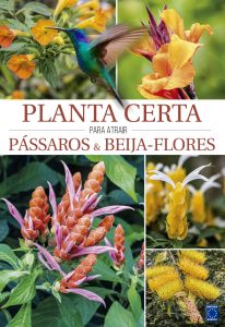 Planta Certa para atrair Pássaros & Beija-Flores