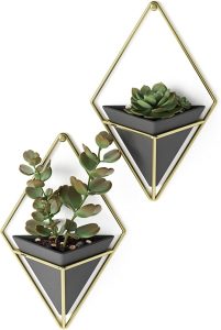Vasos decorativos de parede para plantas ou acessórios, conjunto de 2