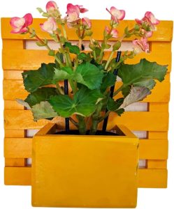 Suporte Para Plantas Parede Verde Floreira Jardineira Com Cachepot