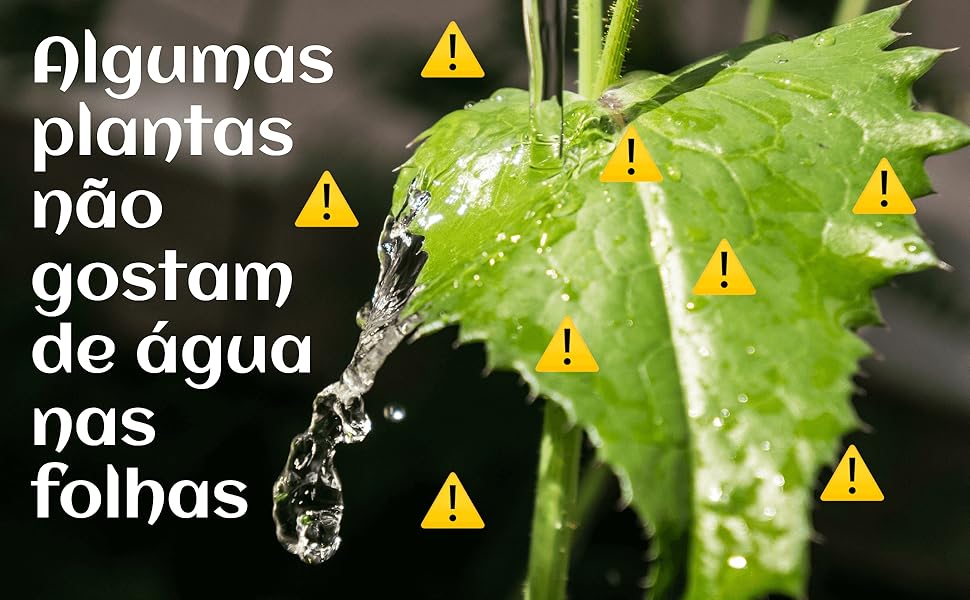 algumas plantas não gostam de água nas folhas