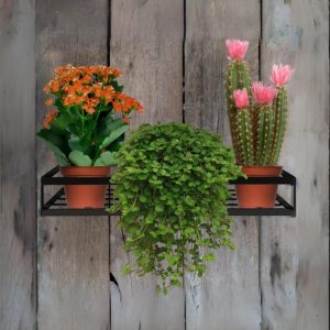 Kit 4 Suportes Para Vaso De Plantas Porta Flores Floreira Parede Aço Reforçado Não Enferruja(Preto)