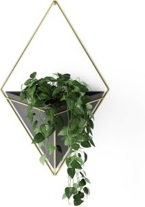 Vaso decorativo de parede Umbra para plantas ou acessórios