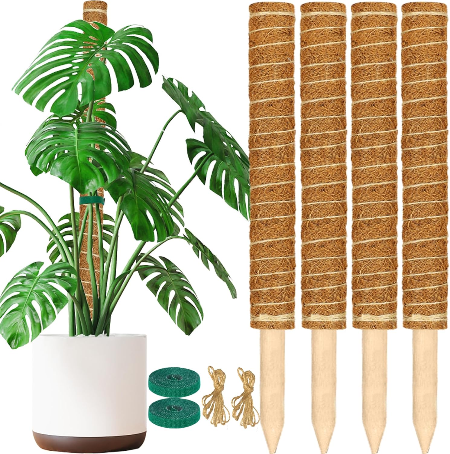 ALENEY Mastro de musgo, pacote com 4 postes de musgo empilháveis de 43,2 cm, suporte para plantas, totem de coco, mastro alto de musgo para plantas trepadeiras, esfagno, vasos de plantas internas - 1 ALENEY Mastro de musgo pacote com 4 postes de musgo