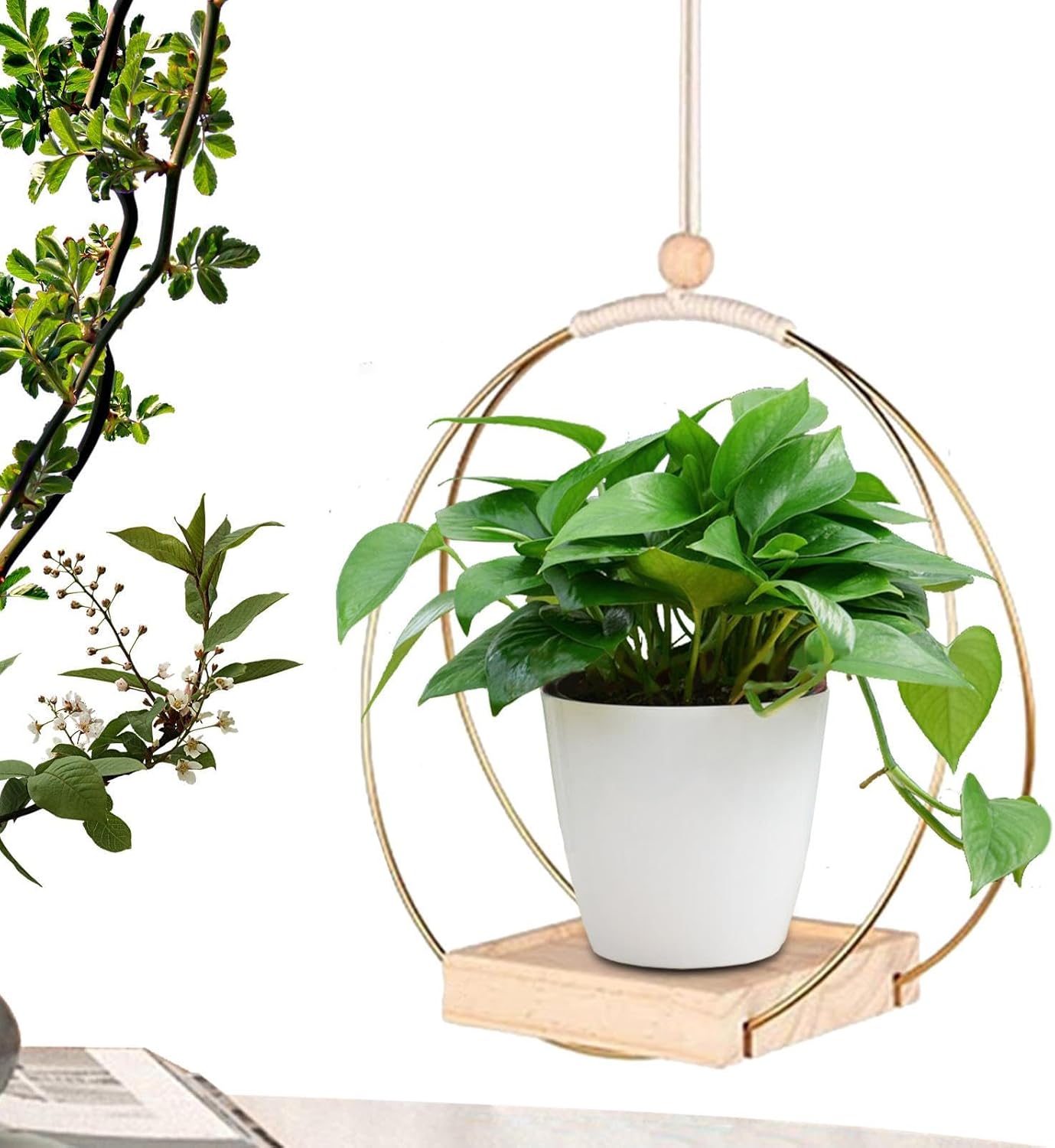 Cabides para jardineiras internas | flor anel metal com base madeira,Floreira suspensa para flores internas e externas, floreira e teto para quarto 1 Cabides para jardineiras internas flor anel metal com base