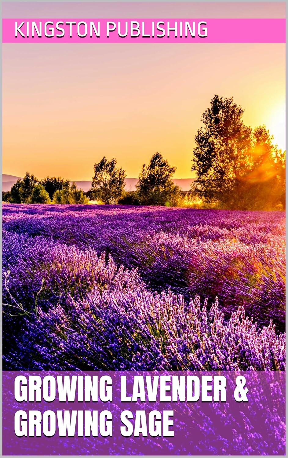 Growing Lavender & Growing Sage (Stunning Indoor Plants) (English Edition) 1 Growing Lavender Growing Sage Stunning Indoor Plants English Edition