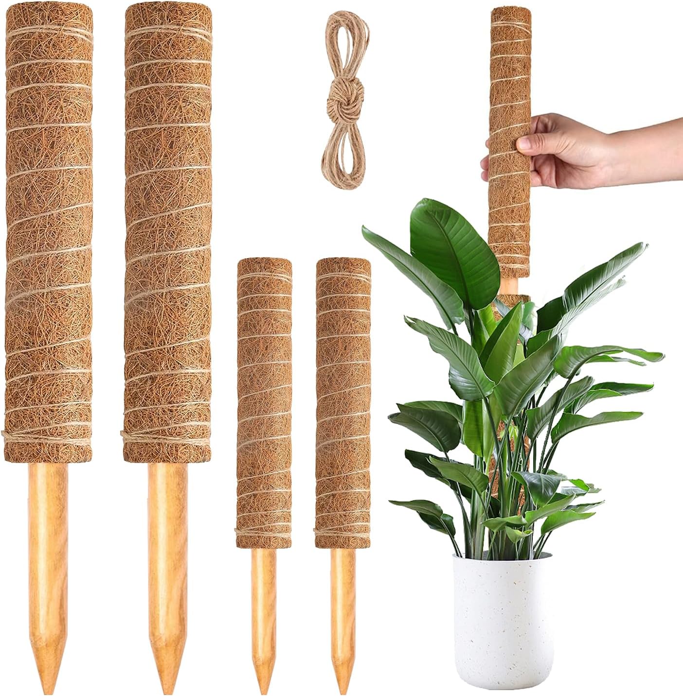 Pacote com 4 mastros de musgo, postes empilháveis de musgo para plantas trepadeiras Monstera, cresça para cima com vara de musgo de corda de juta. Estacas de suporte de plantas de coco para vasos de 1 Pacote com 4 mastros de musgo postes empilhaveis de musgo