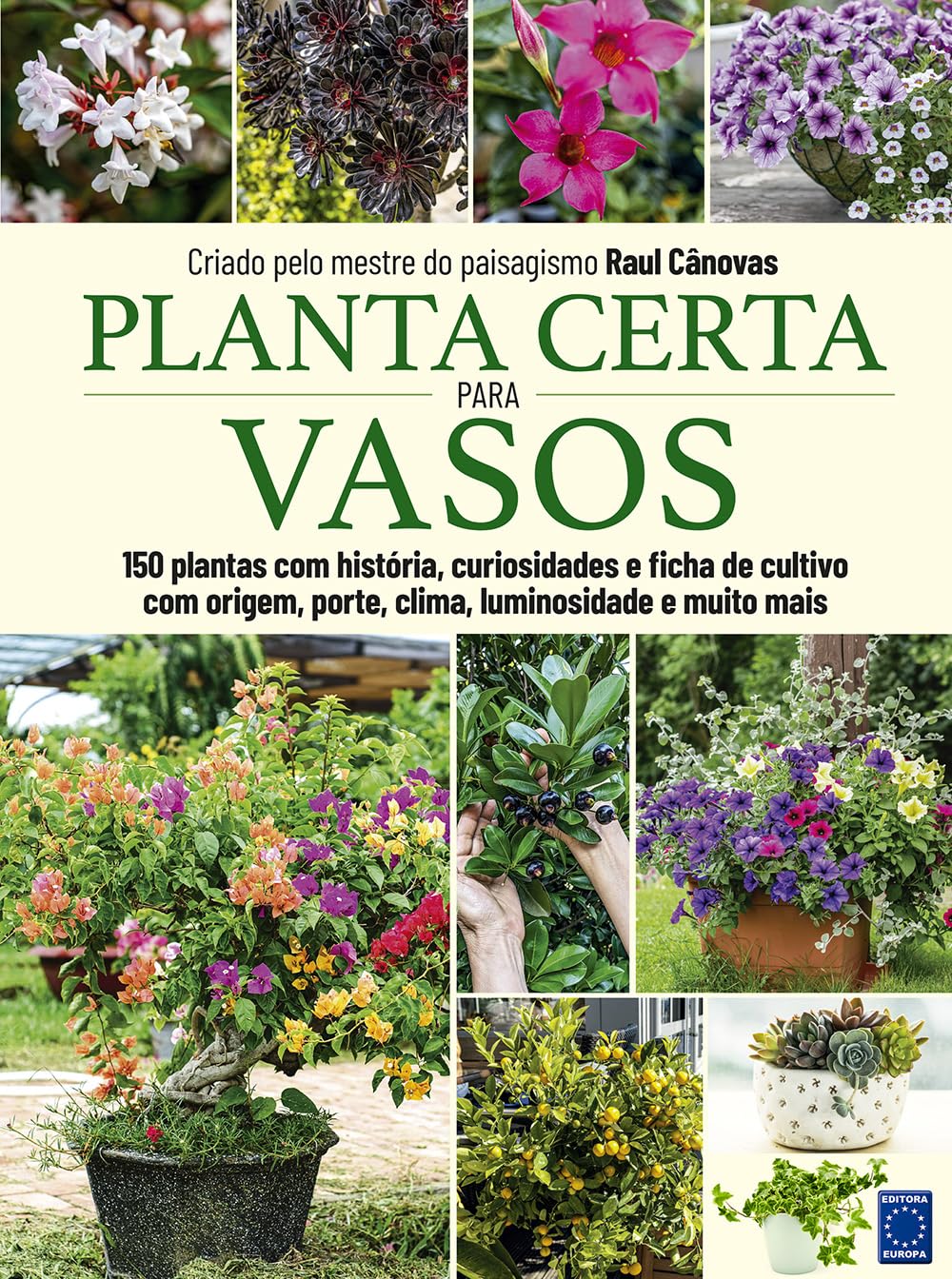 Planta Certa para Vasos 1 Planta Certa para Vasos