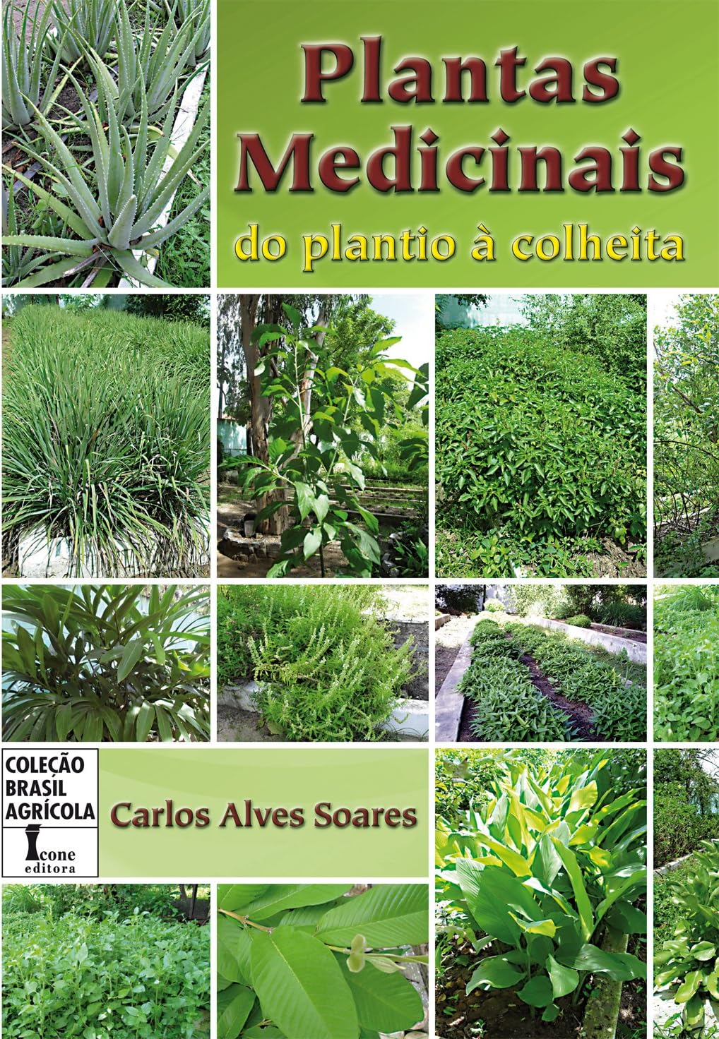 Plantas Medicinais. Do Plantio à Colheita 1 Plantas Medicinais Do Plantio a Colheita