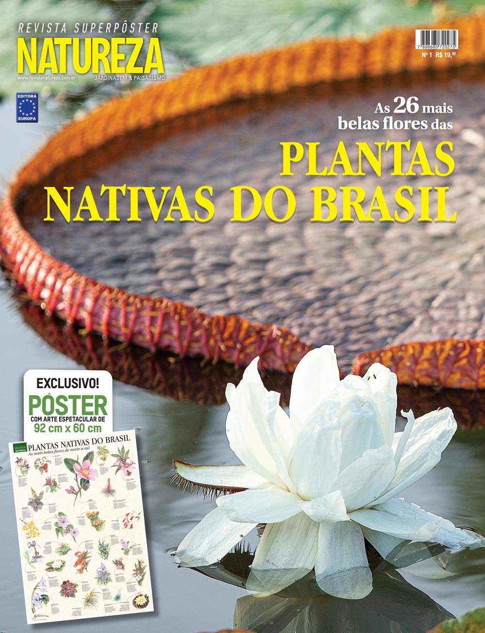 Plantas Nativas do Brasil - Superpôster: Revista Superpôster 1 Plantas Nativas do Brasil Superposter Revista Superposter