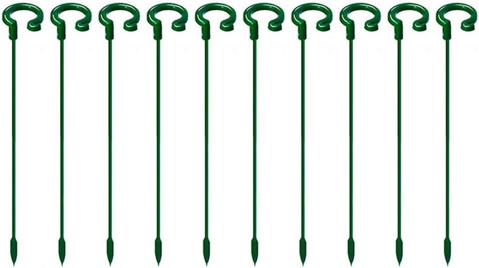 SagaSave 10 hastes de suporte de orquídea Phalaenopsis Suporte de flores para flores suspensas e carnudas, estacas de suporte de plantas anti-queda para plantas rosas e verdes (17 cm) 1 SagaSave 10 hastes de suporte de orquidea Phalaenopsis Suporte de